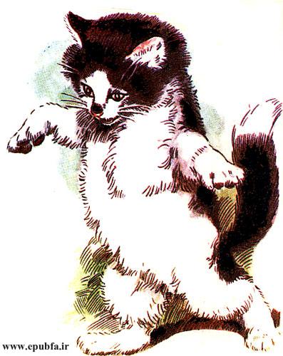 میو! میو! بچه موشها بیایید با من بازی کنید!